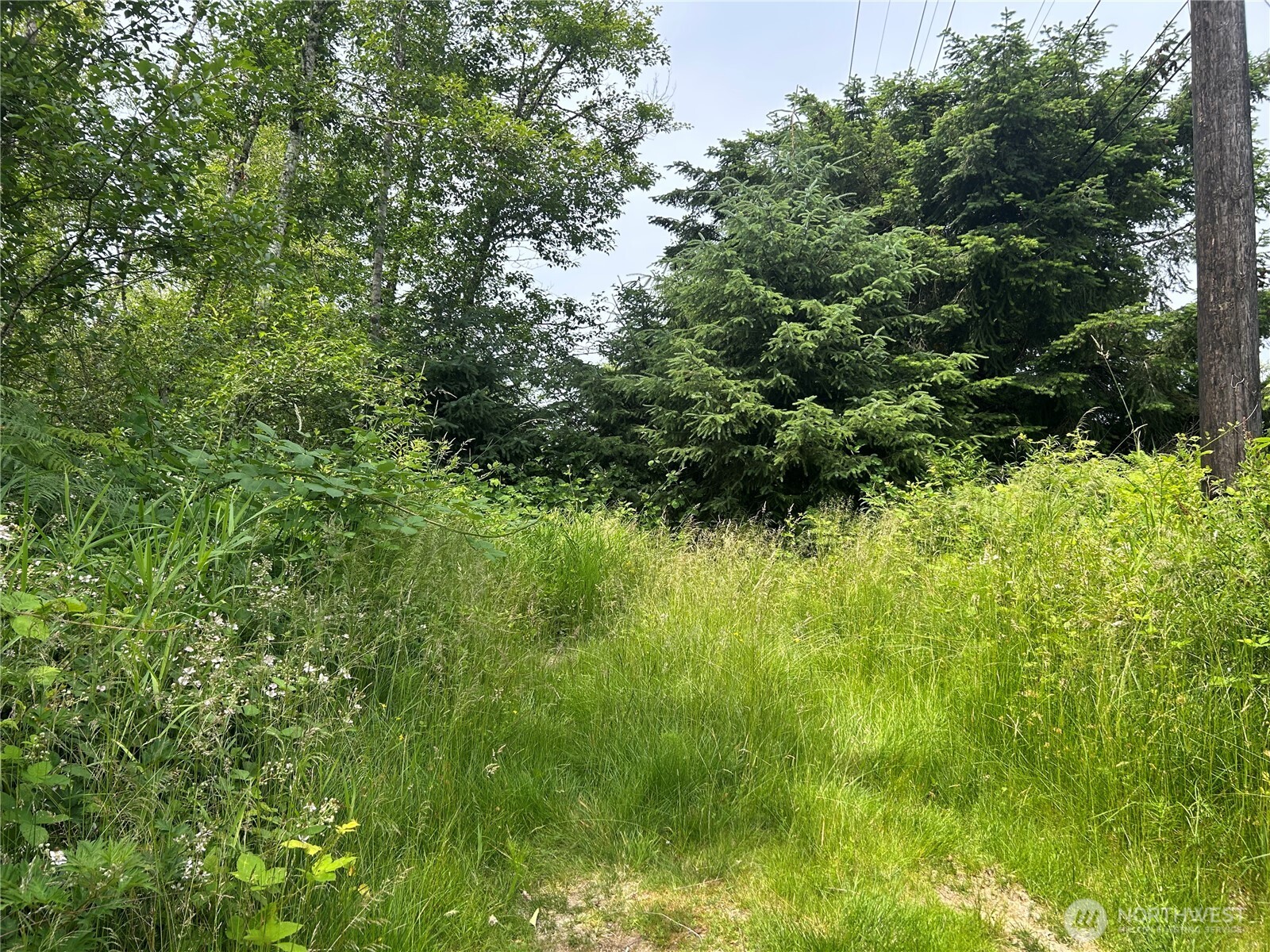 3474 Old Highway 99 North Road Burlington, WA 98233 - Photo 4 of 5