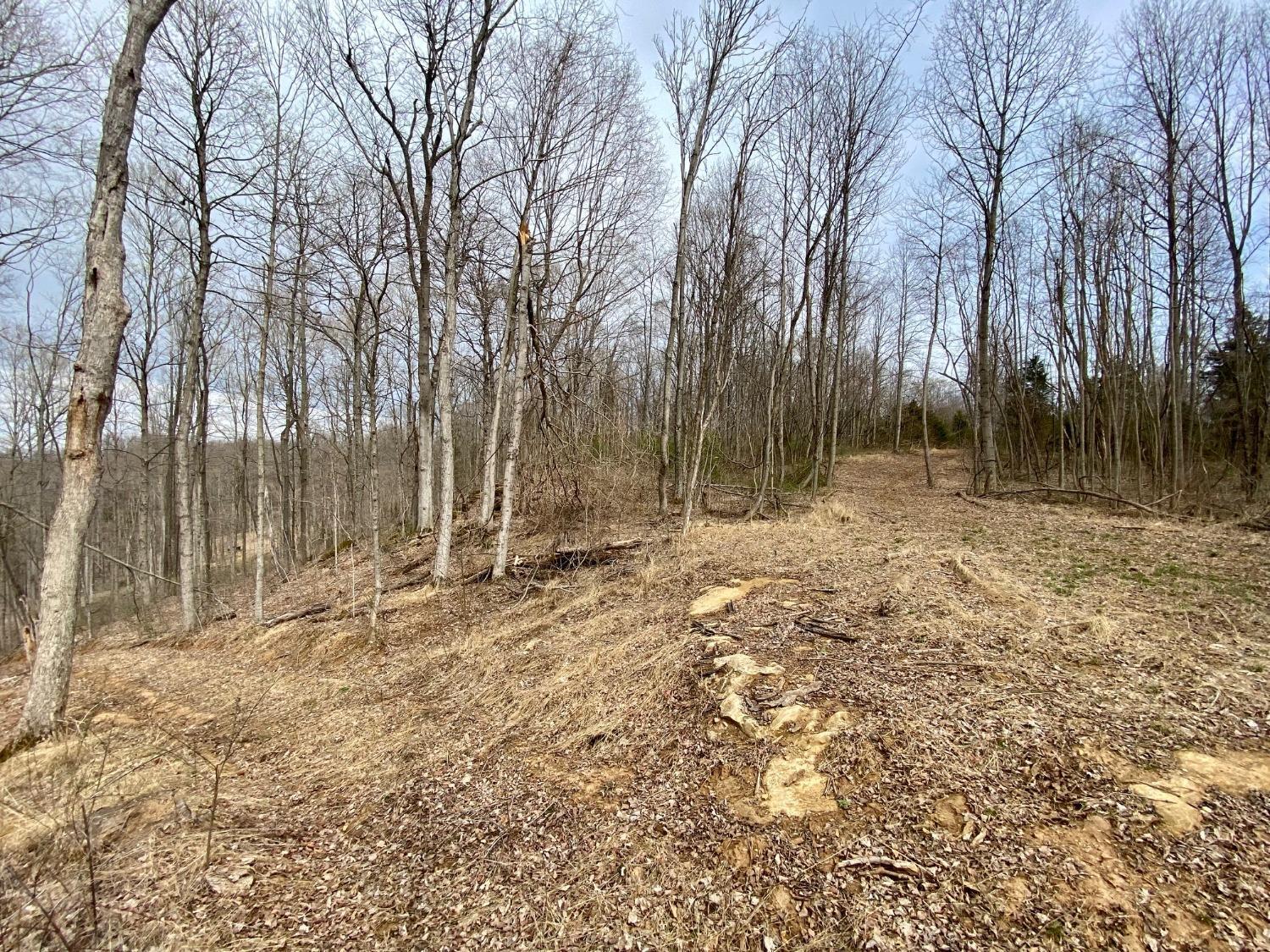 58.7-ac McCarty Road West Union, OH 45693 - Photo 9 of 17 Gallery Image 9