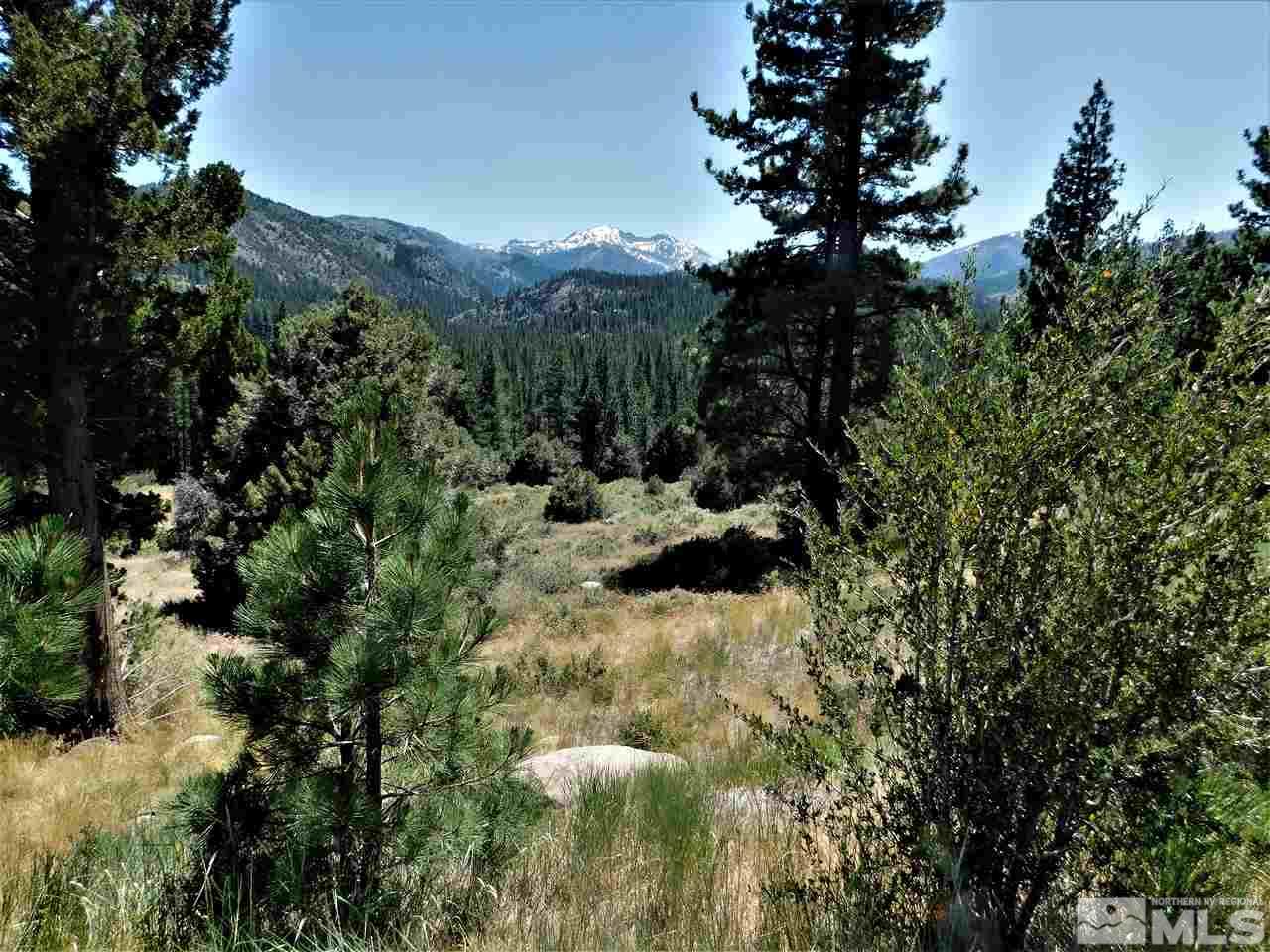 Lot 14 Raymond View Road Markleeville, CA 96120 - Photo 1 of 6 a view of a forest with a tree