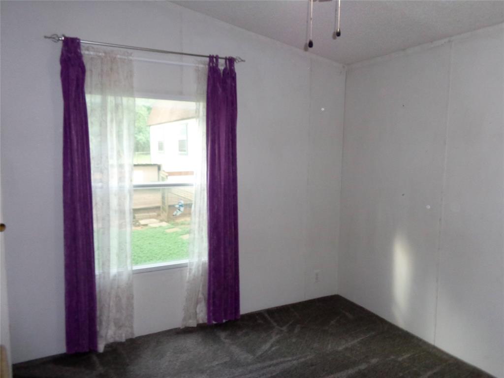 5525 Cedar Oaks Road Grandview, TX 76050 - Photo 15 of 40 Window with exterior yard exposure and a ceiling-mounted light fixture