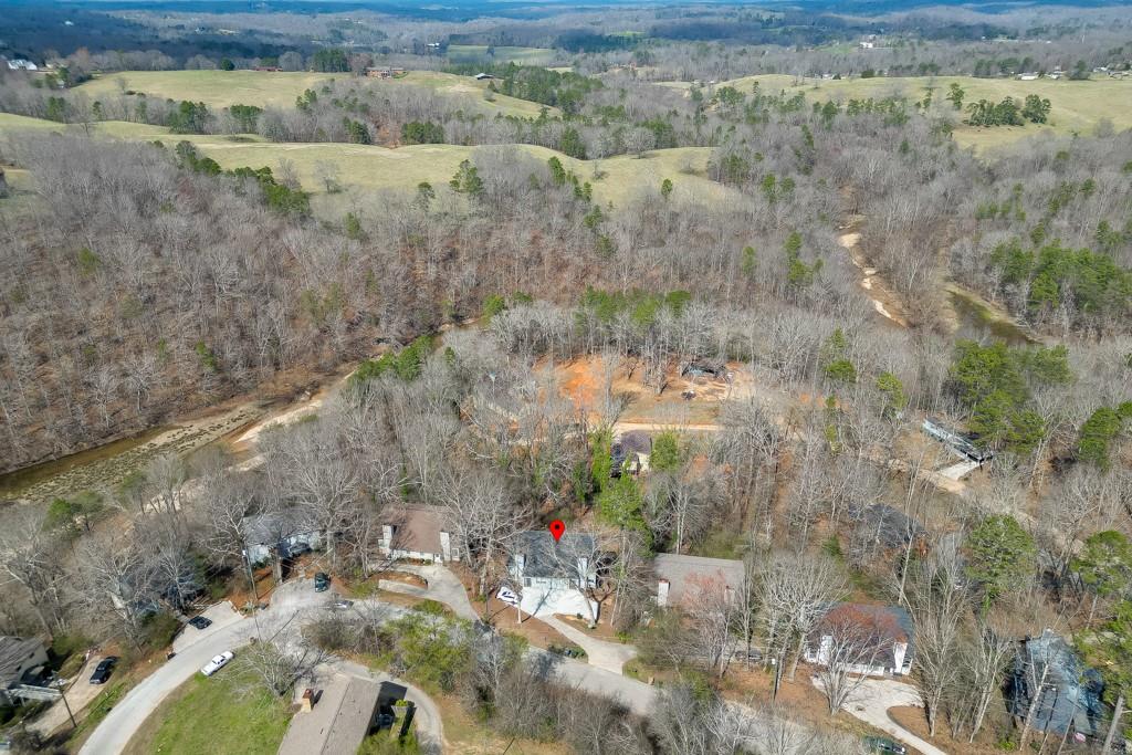 3932 Darryl Lane Gainesville, GA 30506 - Photo 4 of 34 a view of a yard with large trees