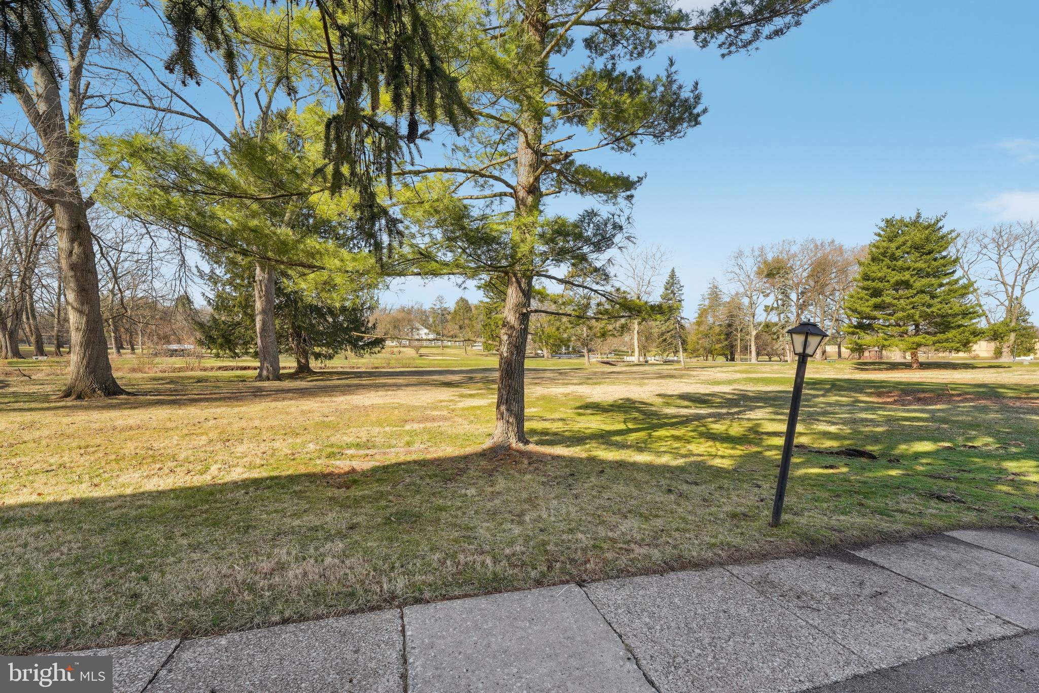 203 Drummers Lane, Unit 203 Wayne, PA 19087 - Photo 40 of 40 a view of yard with large tree