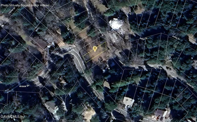 a view of a yard with plants and trees