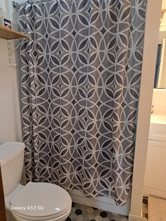 360 Hamilton Street Worcester, MA 01604 - Photo 29 of 35 a white toilet sitting next to a shower curtain