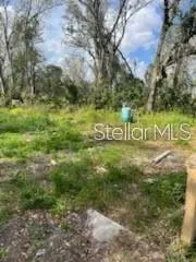 $325,000 | 11616 Bullfrog Creek Road, Gibsonton, FL 33534