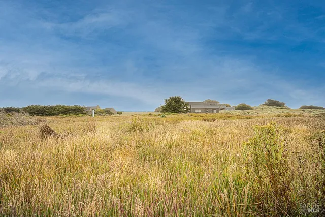 a view of a lake and green space
