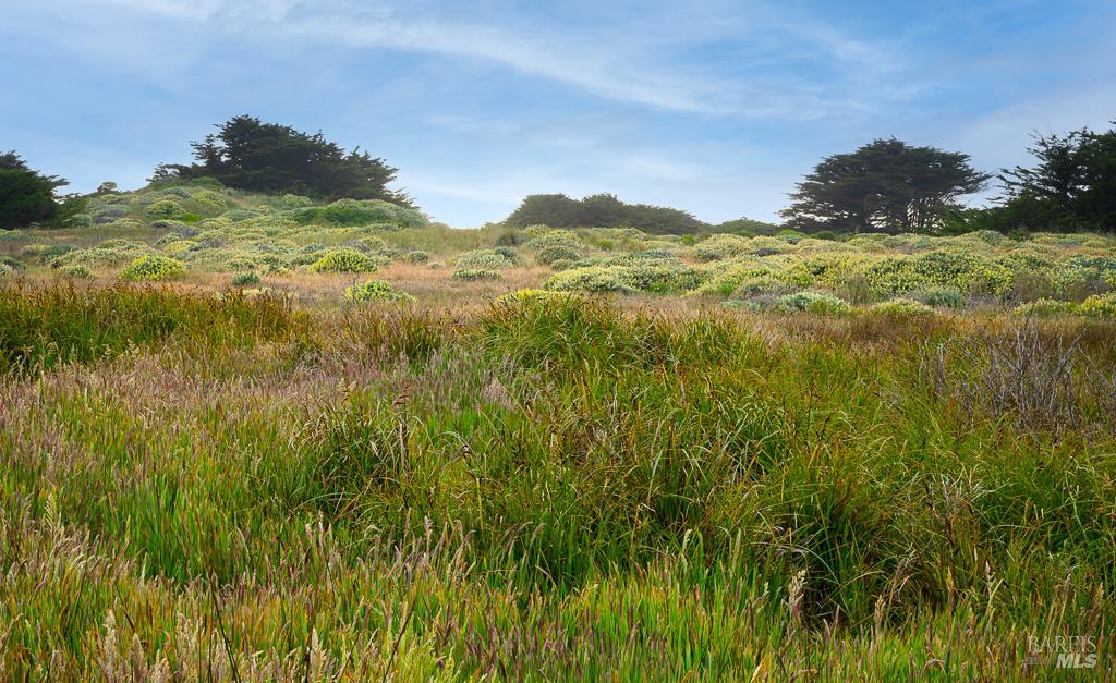 42080 Rock Cod The Sea Ranch, CA 95497 - Photo 12 of 15 a view of a lake and green space
