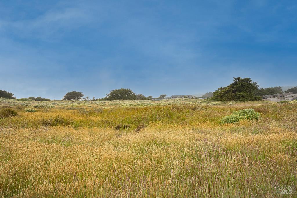 42080 Rock Cod The Sea Ranch, CA 95497 - Photo 13 of 15 a view of ocean view