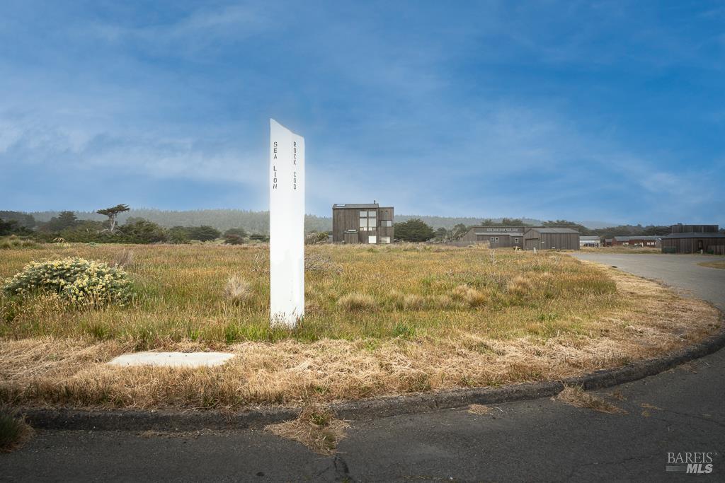 42080 Rock Cod The Sea Ranch, CA 95497 - Photo 14 of 15 a view of a ocean view