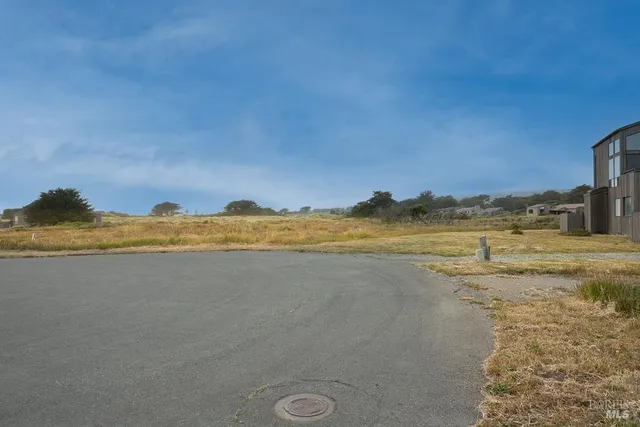 a view of a large body of water with a large tree in front of it