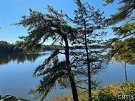 $25,000 | 0 Big Island/lot 10, Hammond, NY 13646