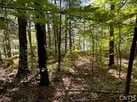 $25,000 | 0 Big Island/lot 10, Hammond, NY 13646