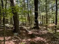 $25,000 | 0 Big Island/lot 10, Hammond, NY 13646