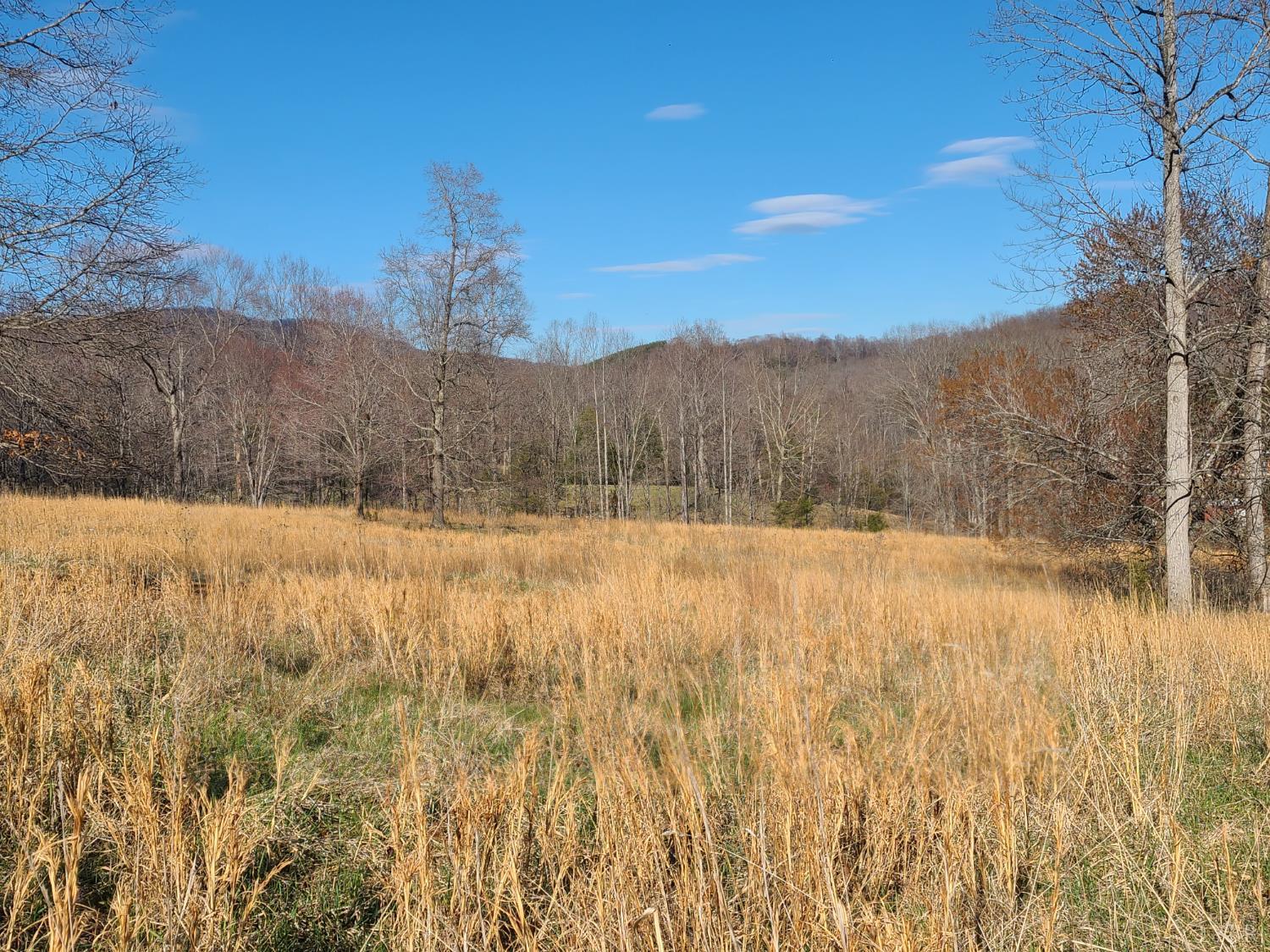 0 Cifax Road Goode, VA 24556 - Photo 1 of 3