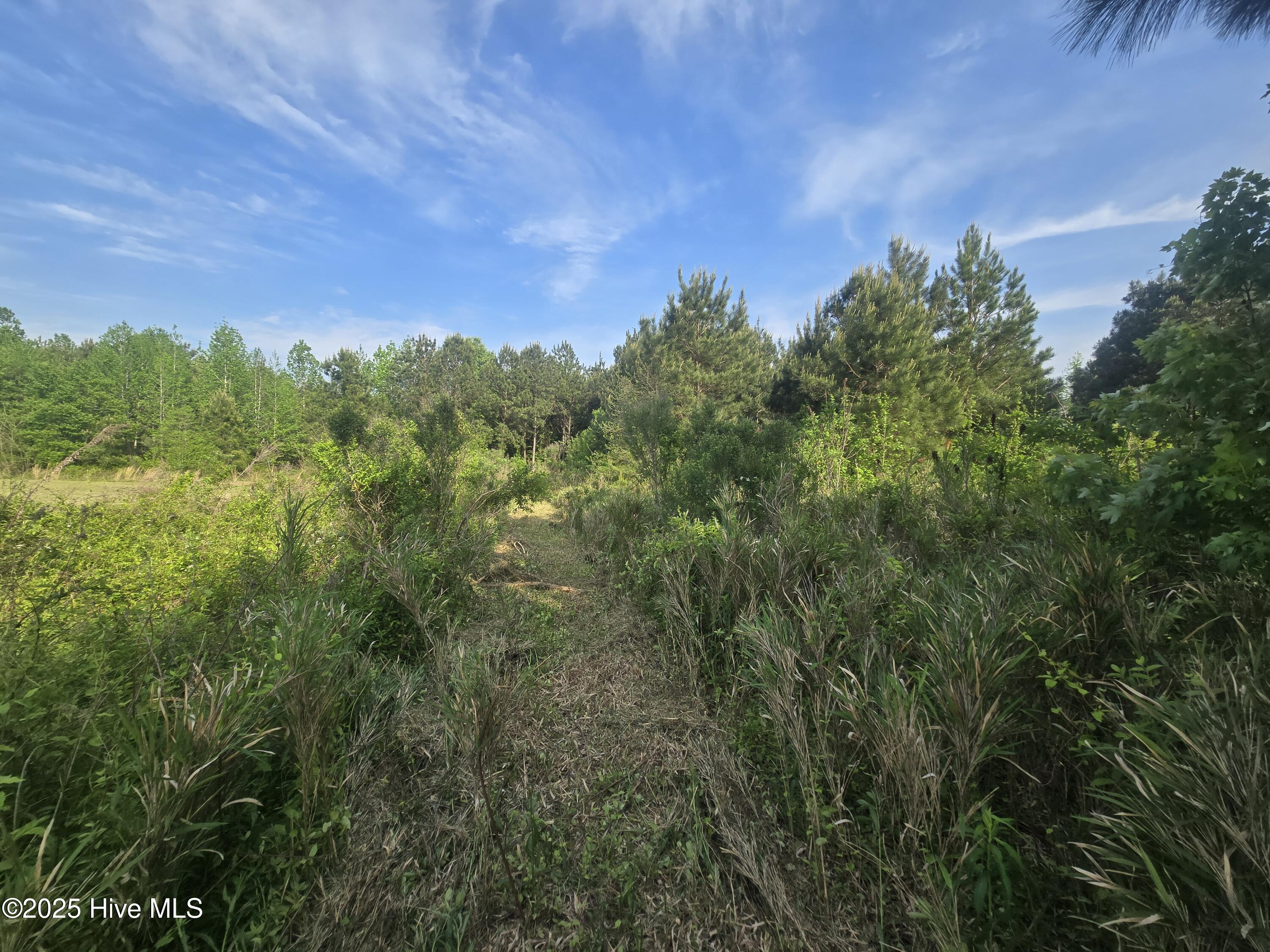 5 Keys Cross Road Hobbsville, NC 27946 - Photo 22 of 42 hunt, fish or play!