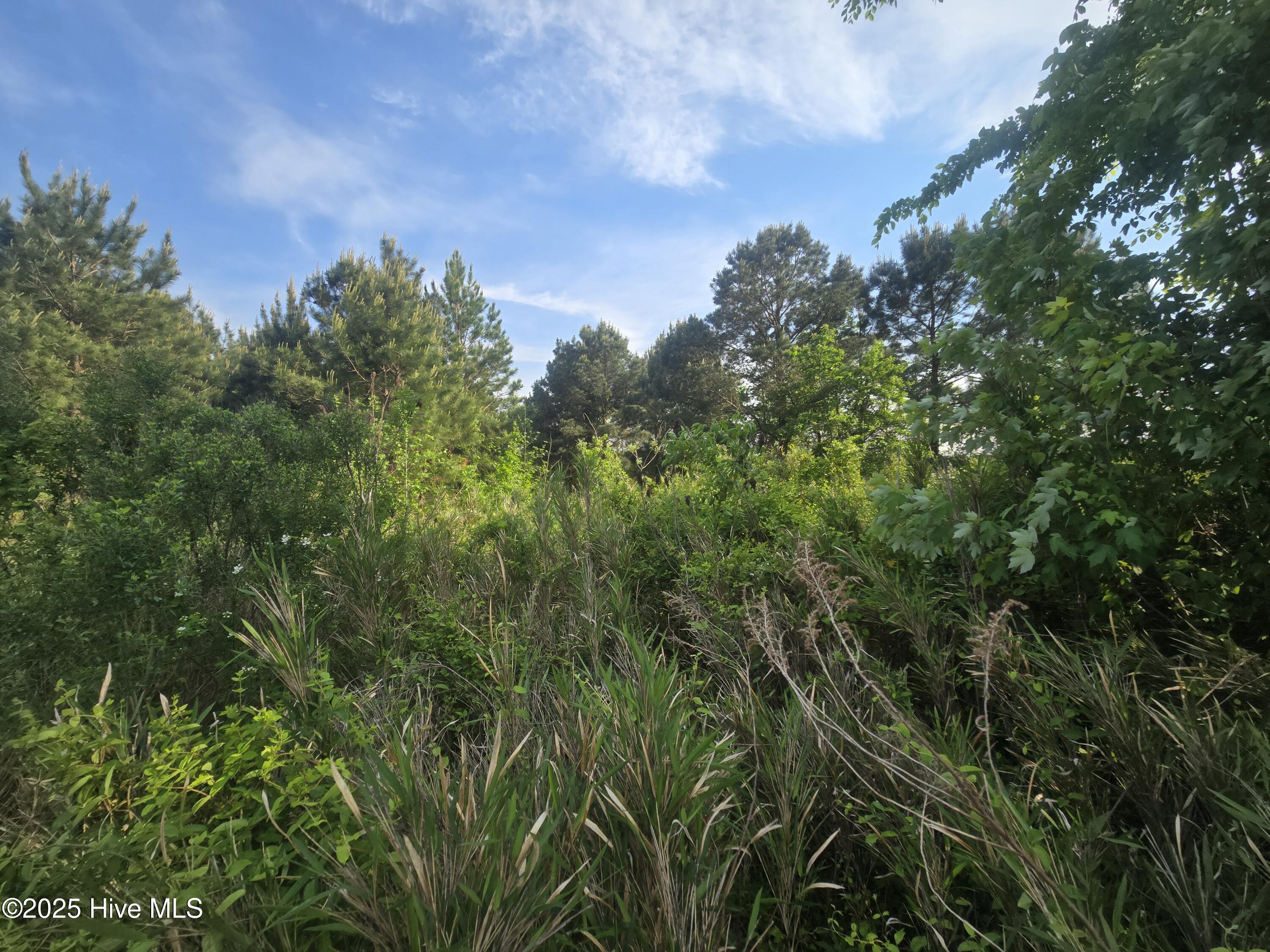5 Keys Cross Road Hobbsville, NC 27946 - Photo 37 of 42 5 semi cleared acres