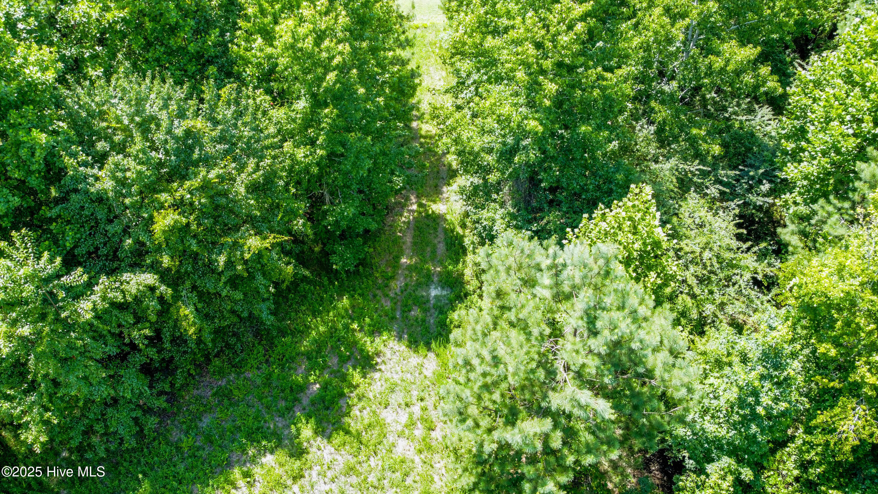 5 Keys Cross Road Hobbsville, NC 27946 - Photo 39 of 42 Drone Photo OF many paths