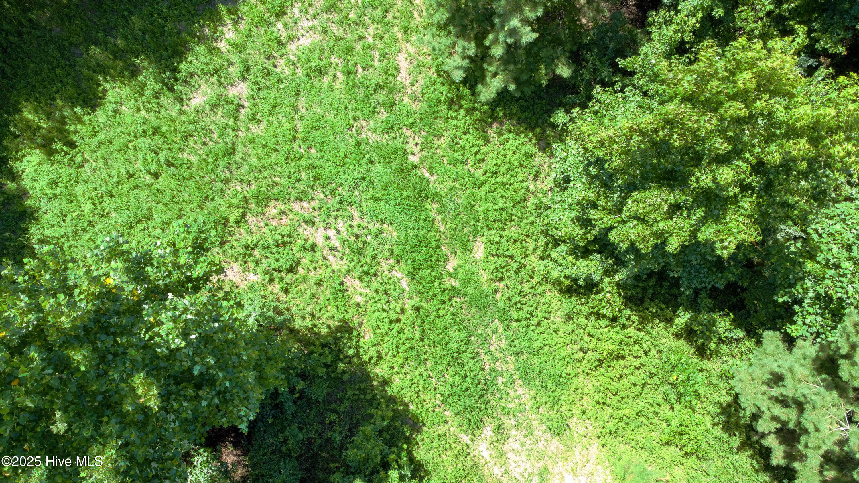 5 Keys Cross Road Hobbsville, NC 27946 - Photo 40 of 42 Drone Photo of paths