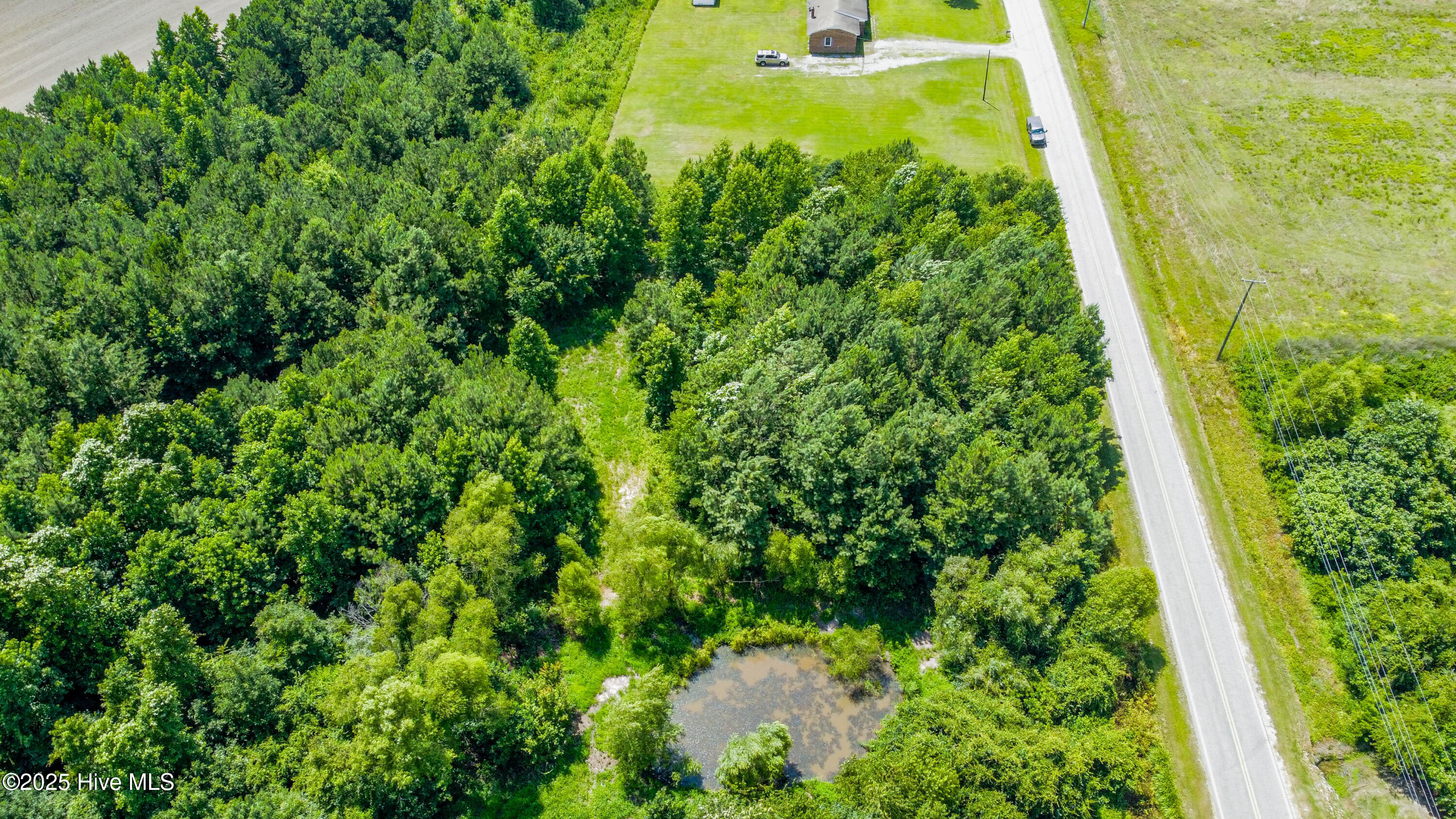 5 Keys Cross Road Hobbsville, NC 27946 - Photo 4 of 42 Expansive Acerage with cleared trails and no restrictions