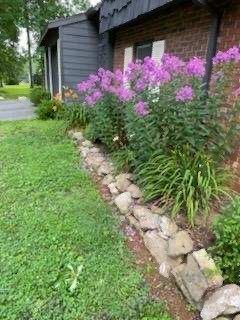 3162 Chestnut Grove Church Road Sparta, NC 28675 - Photo 36 of 45