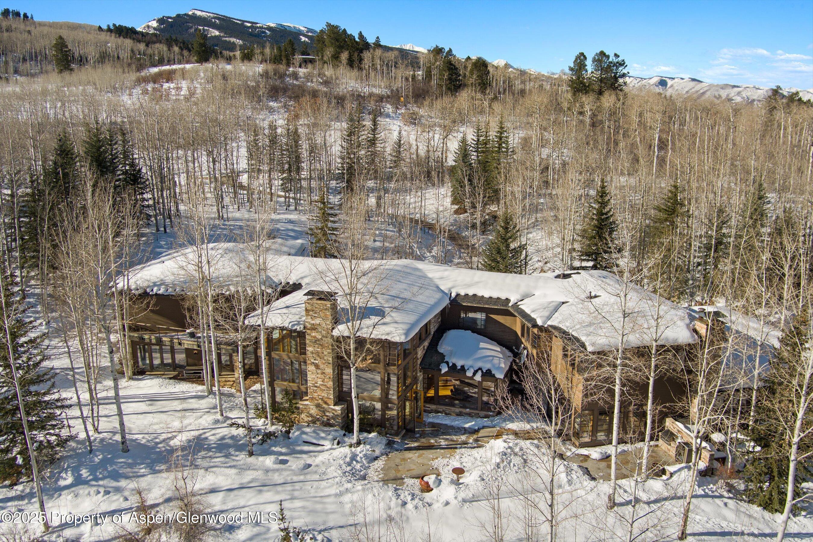 300 Eagle Pines Drive Aspen, CO 81611 - Photo 3 of 47 03-300EaglePines_mb_241205083