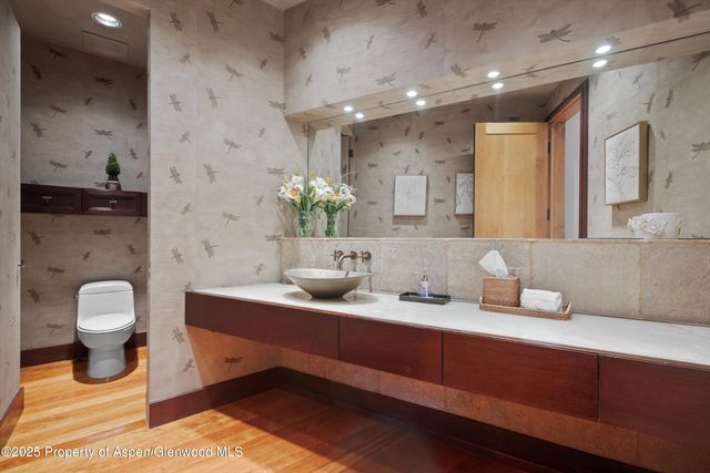 $24,995,000 | 300 Eagle Pines Drive, Aspen, CO 81611