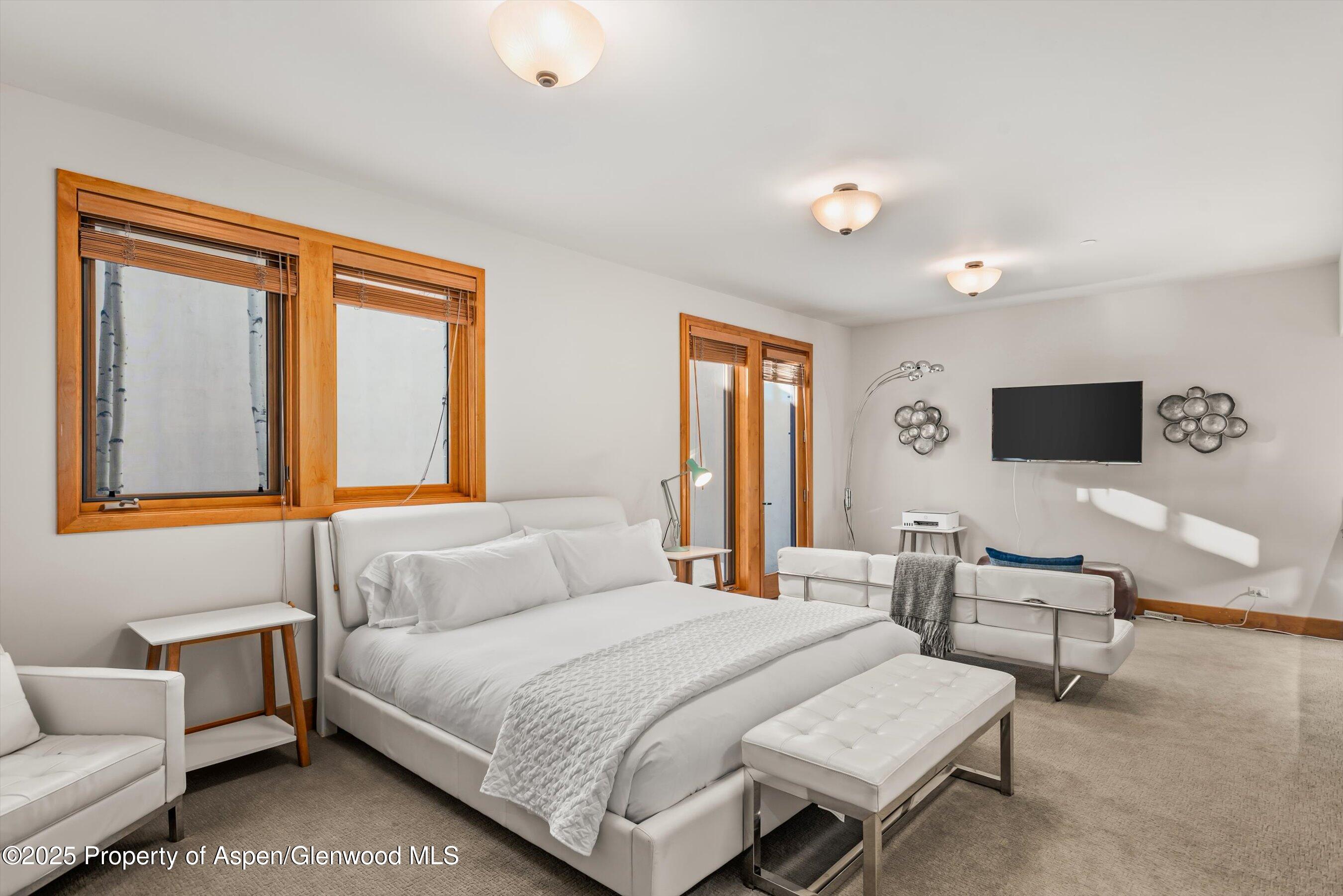 300 Eagle Pines Drive Aspen, CO 81611 - Photo 42 of 47 56-300EaglePines_241205033