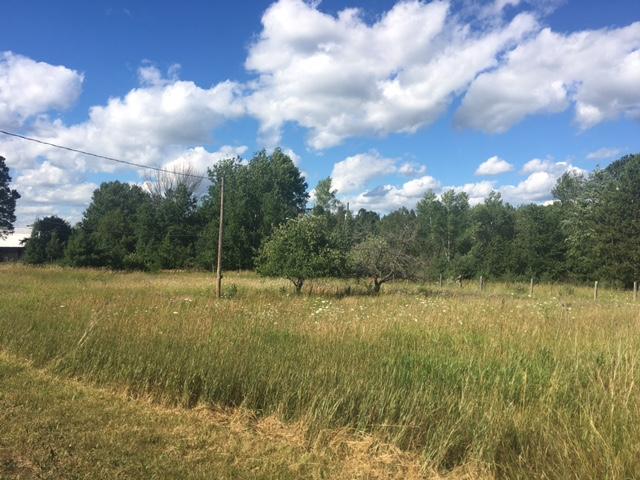 9537 Kleve Road Hubbard Lake, MI 49747 - Photo 17 of 17 Gallery Image 17