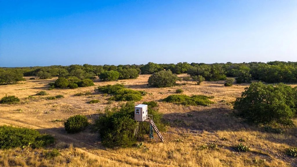 2 Elrincon Road Mountain Home, TX 78058 - Photo 6 of 22