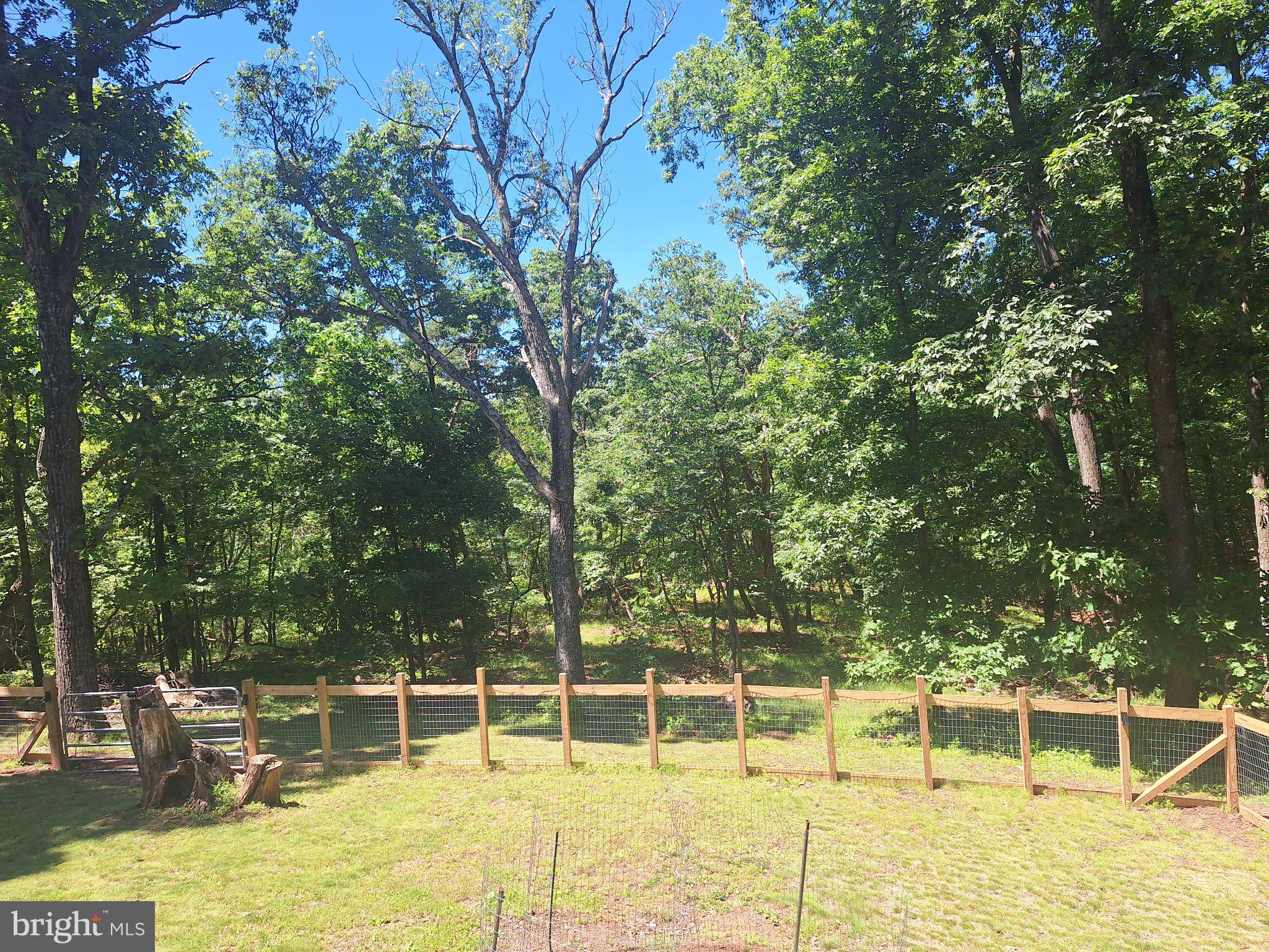 71 Trapper Ridge Lane Hedgesville, WV 25427 - Photo 14 of 36