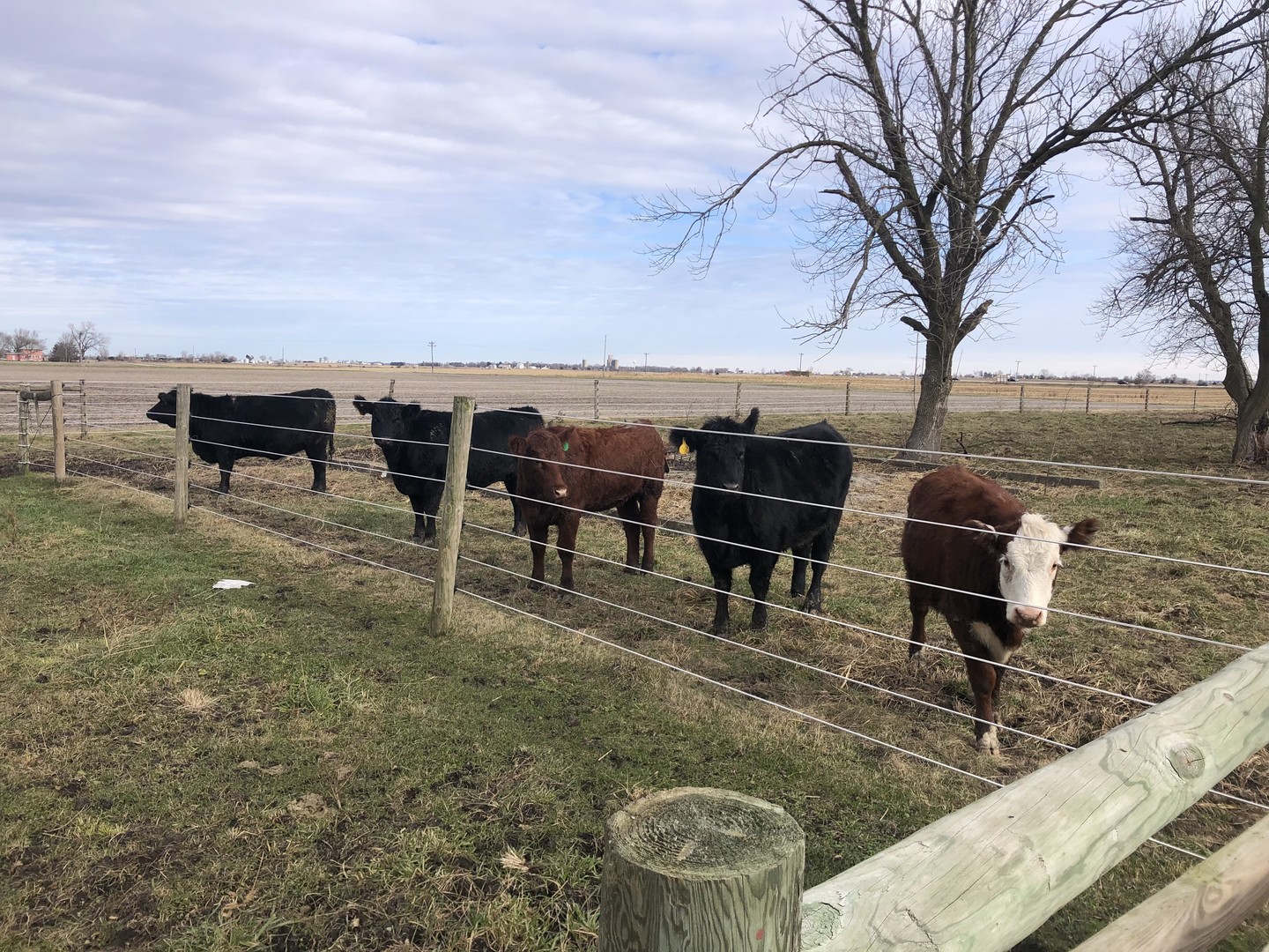 1985 North 670 East Road Gilman, IL 60938 - Photo 45 of 47