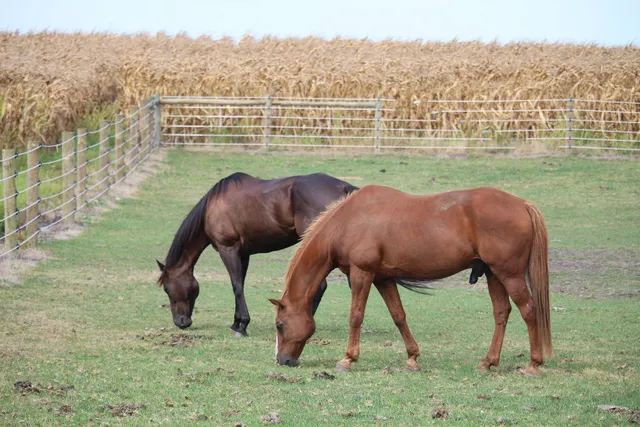 $459,900 | 1985 North 670 East Road, Gilman, IL 60938