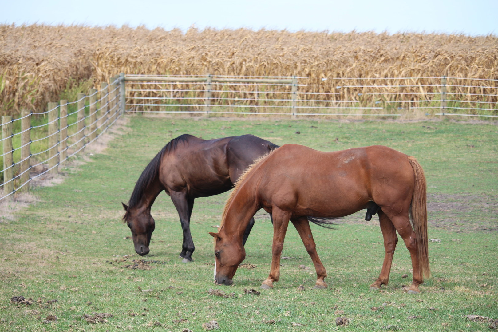 1985 North 670 East Road Gilman, IL 60938 - Photo 47 of 47