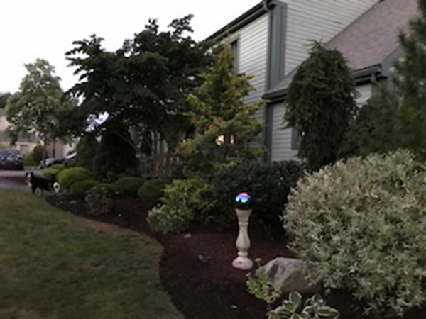 7 Colonel Gridley Road Sharon, MA 02067 - Photo 29 of 30 Gallery Image 29