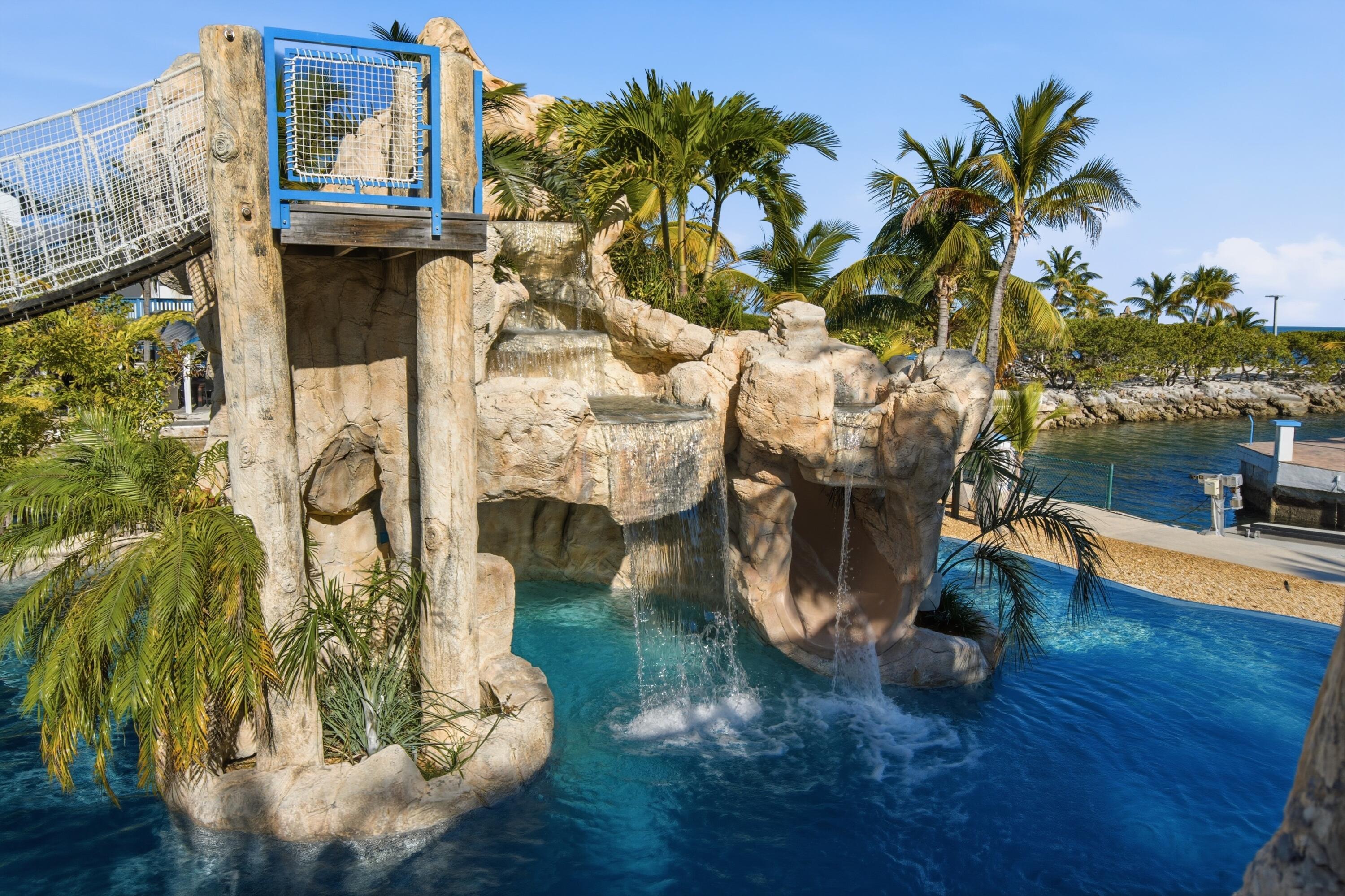 101 Oleander Circle Key Largo, FL 33037 - Photo 90 of 126 a vase of flowers sitting on a table with a potted plant