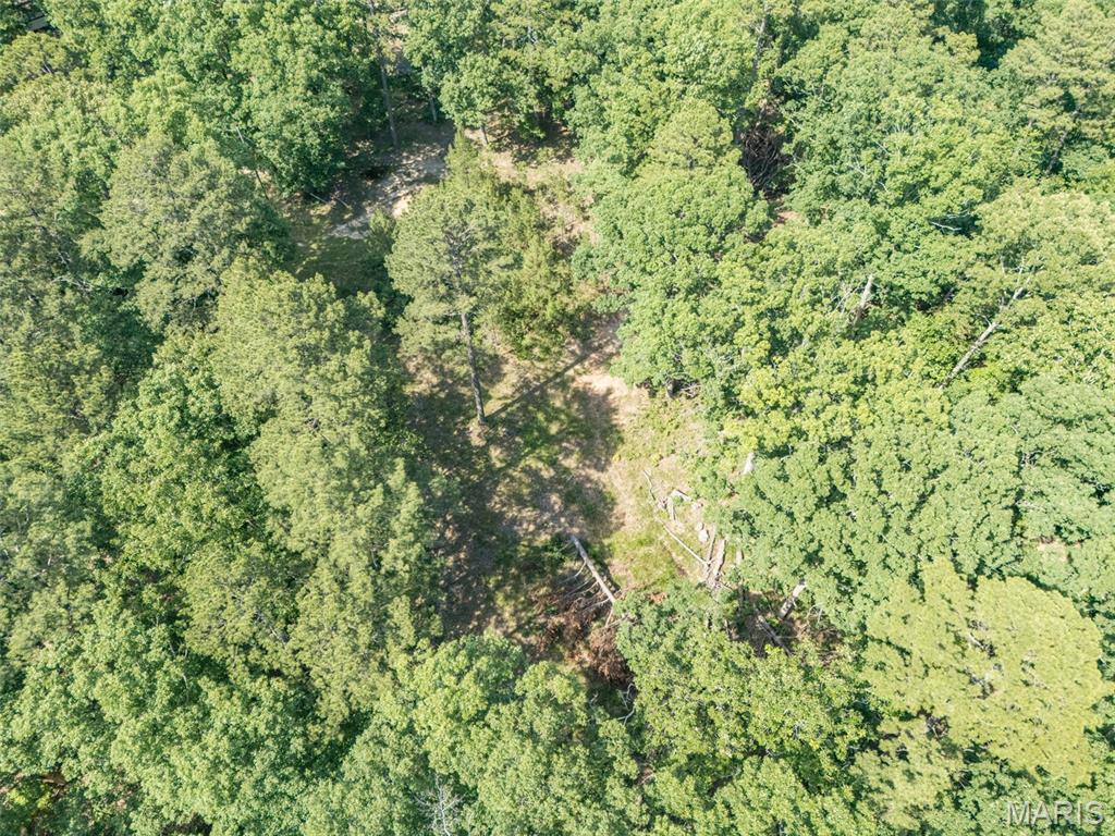 10130 Fish Hook Road Potosi, MO 63664 - Photo 23 of 29