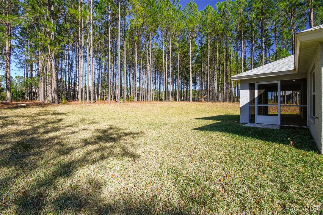 65 East Boston Street Hernando, FL 34442 - Photo 54 of 100