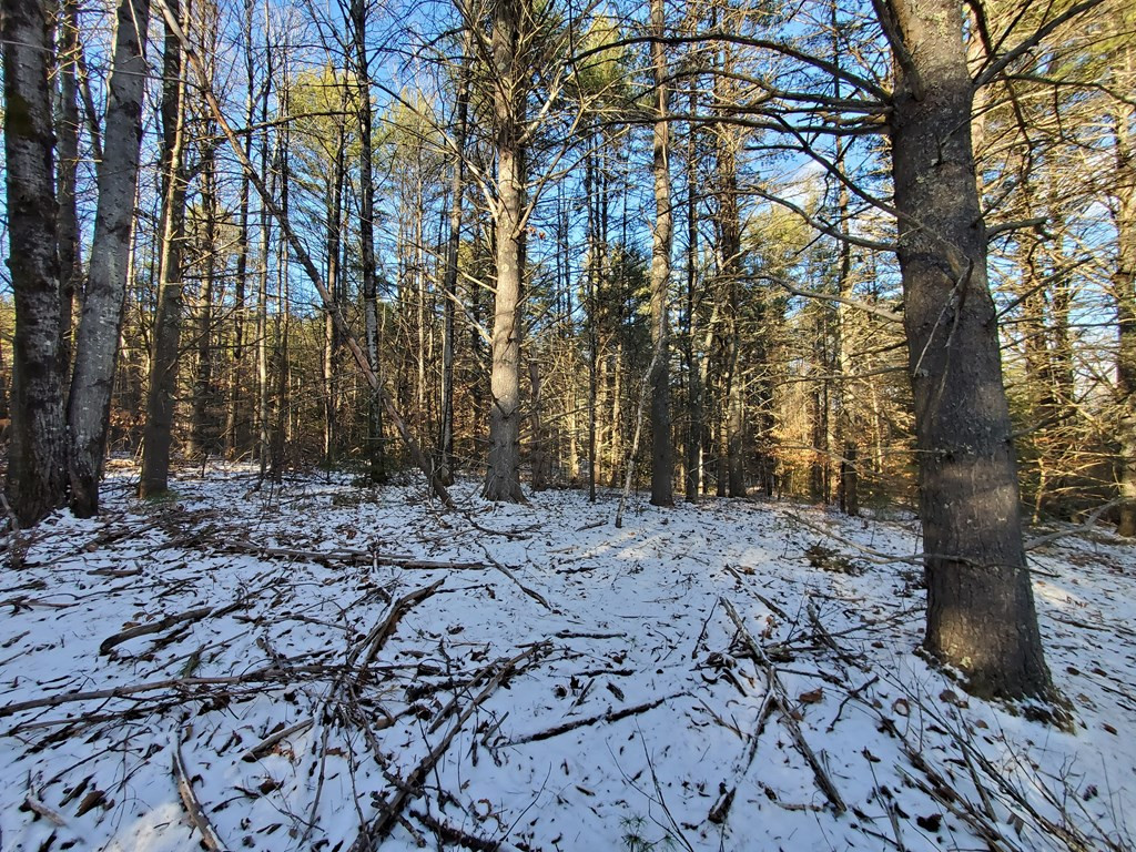 558 Fox Run Road Lewis, NY 12950 - Photo 6 of 9 Gallery Image 6