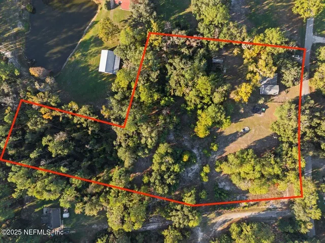 a picture of flowers