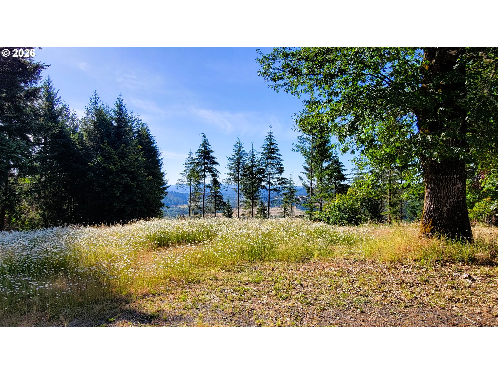86820 Northill Ranch Road Eugene, OR 97402 - Photo 27 of 30 View