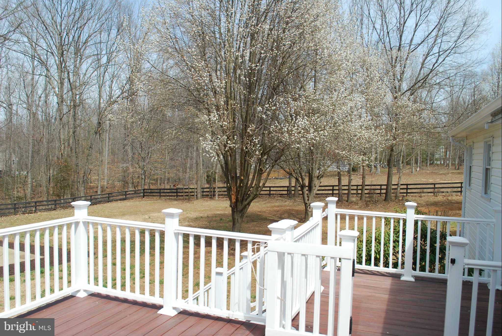 13102 Mill Road Fredericksburg, VA 22407 - Photo 24 of 27 Exterior (Rear)