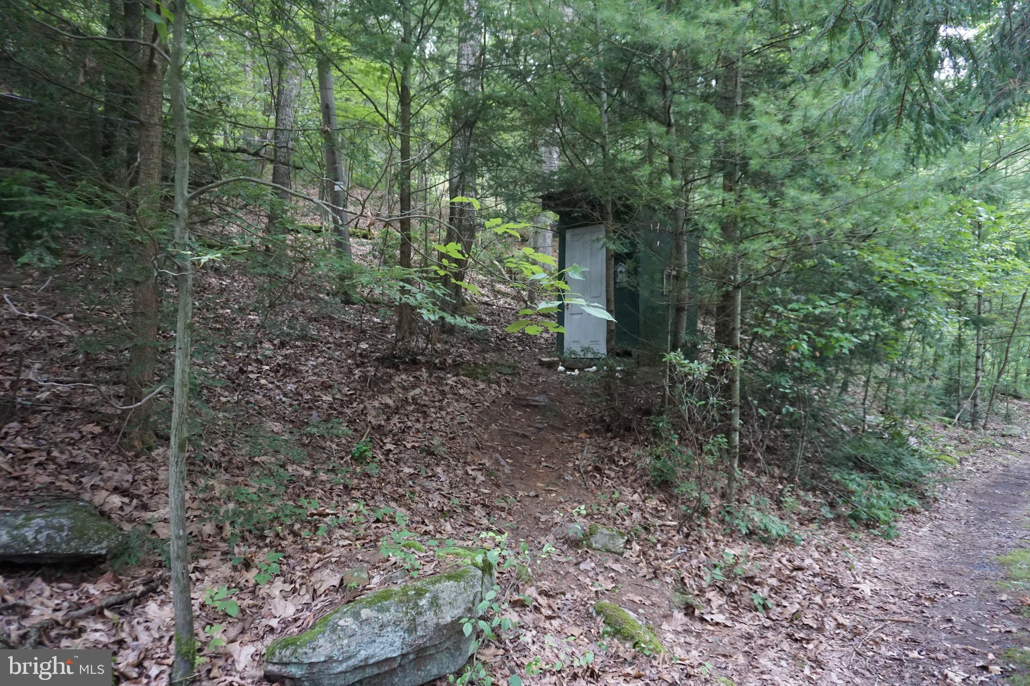 525 Carsonville Road Halifax, PA 17032 - Photo 4 of 14