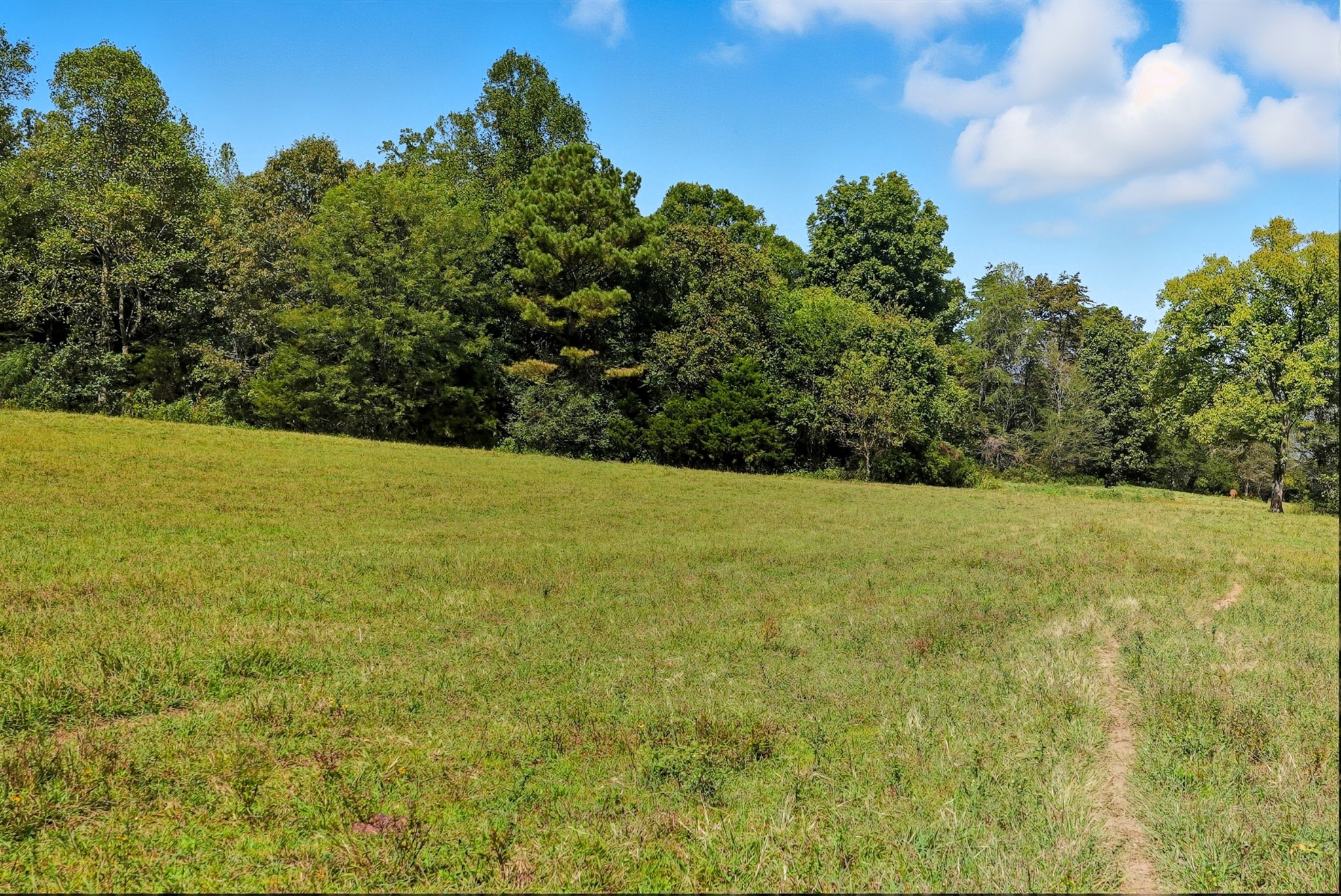 0 Jenkins Road Sparta, TN 38583 - Photo 12 of 32 a view of a field with an outdoor space