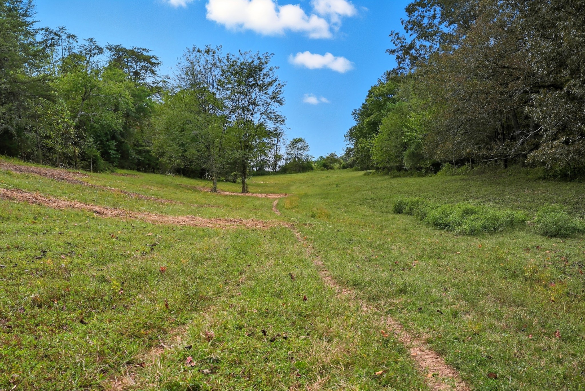 0 Jenkins Road Sparta, TN 38583 - Photo 31 of 32 a view of field with trees in the background