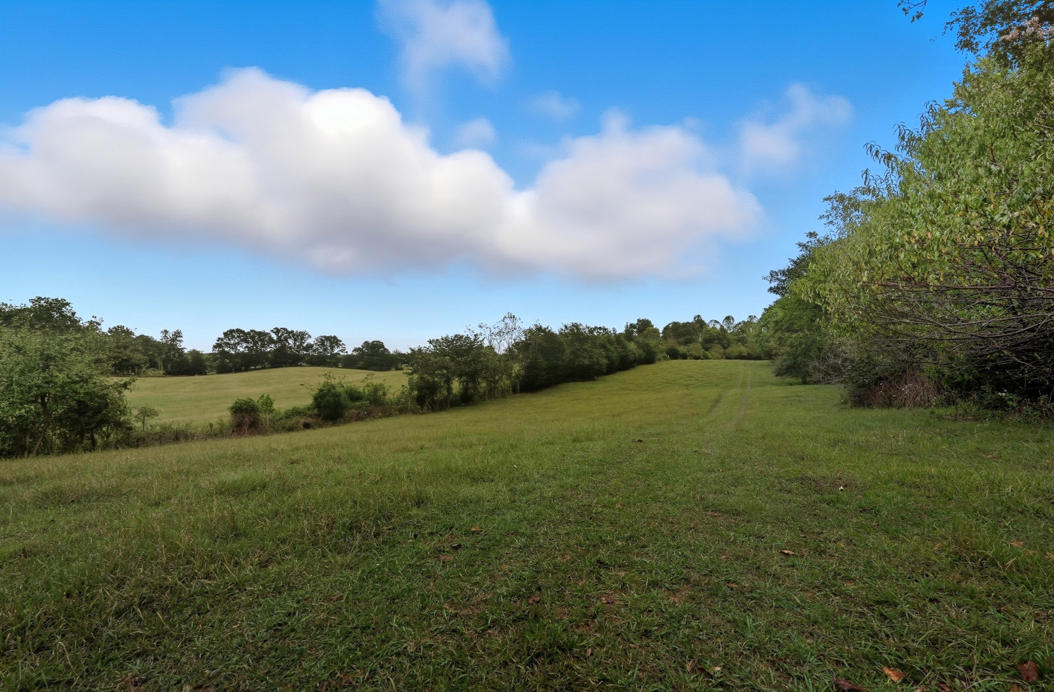 0 Jenkins Road Sparta, TN 38583 - Photo 4 of 32 a view of an outdoor space and mountain view