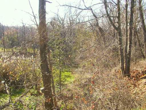 1031 Mt Jackson Road New Castle, PA 16102 - Photo 3 of 3 Land.