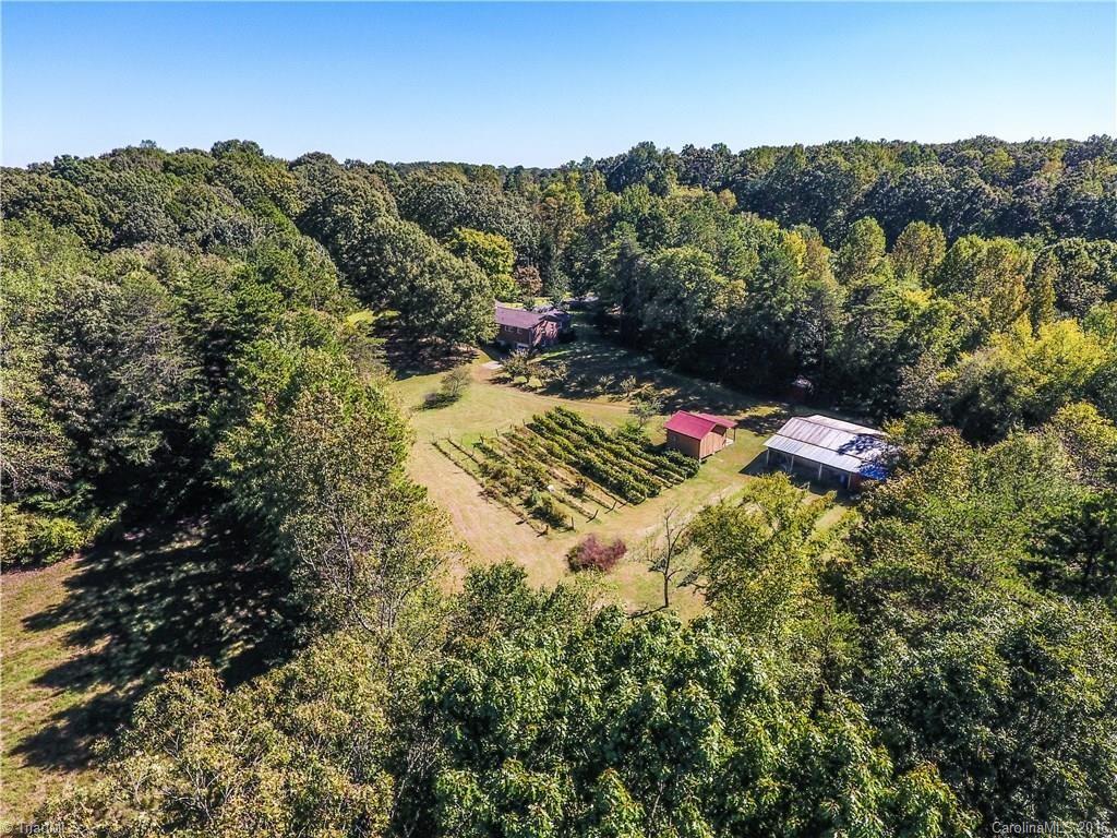 158 Harper Road Advance, NC 27006 - Photo 3 of 23 Gallery Image 3