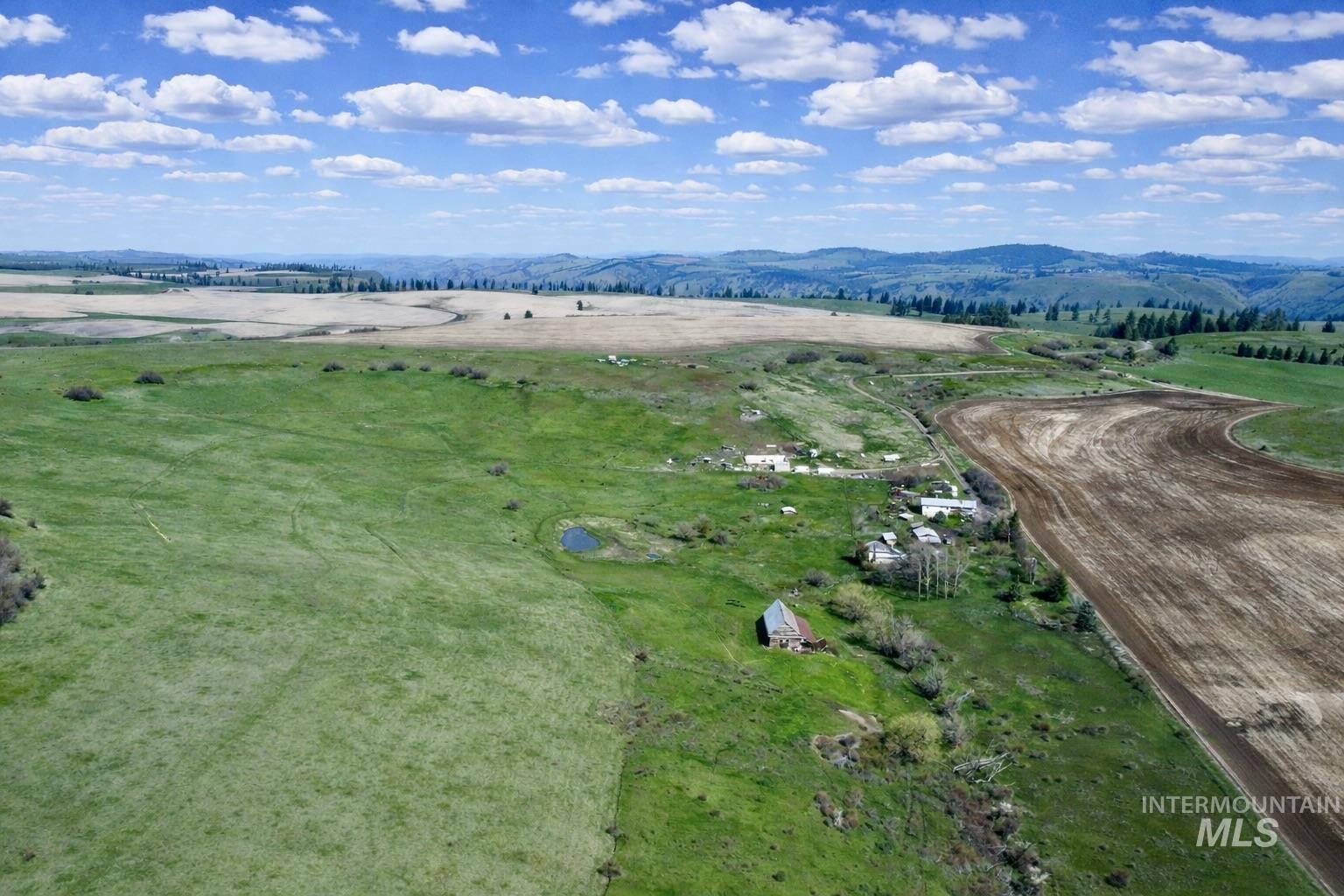 1753 Drake Road Nezperce, ID 83543 - Photo 13 of 31