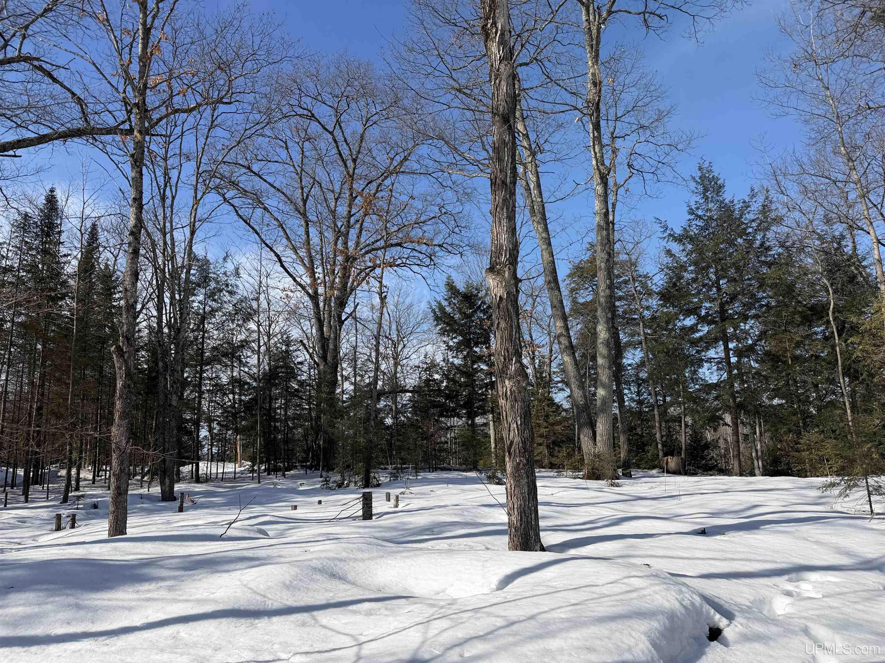 44870 Co Hwy D Cable, WI 54821 - Photo 20 of 51