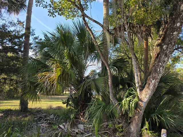 $54,900 | 3000 Elm Street, Welaka, FL 32193